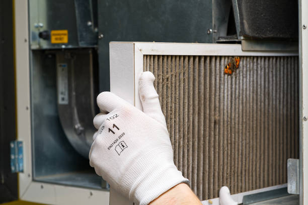 Best Professional Duct Cleaning Services  in Dale, IN