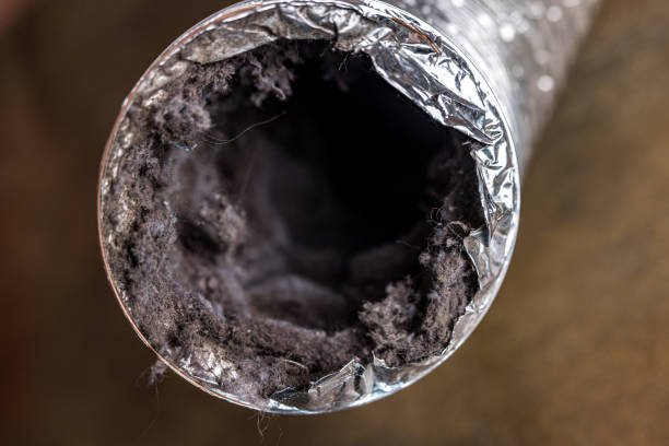 Best Commercial HVAC Duct Cleaning  in Dale, IN